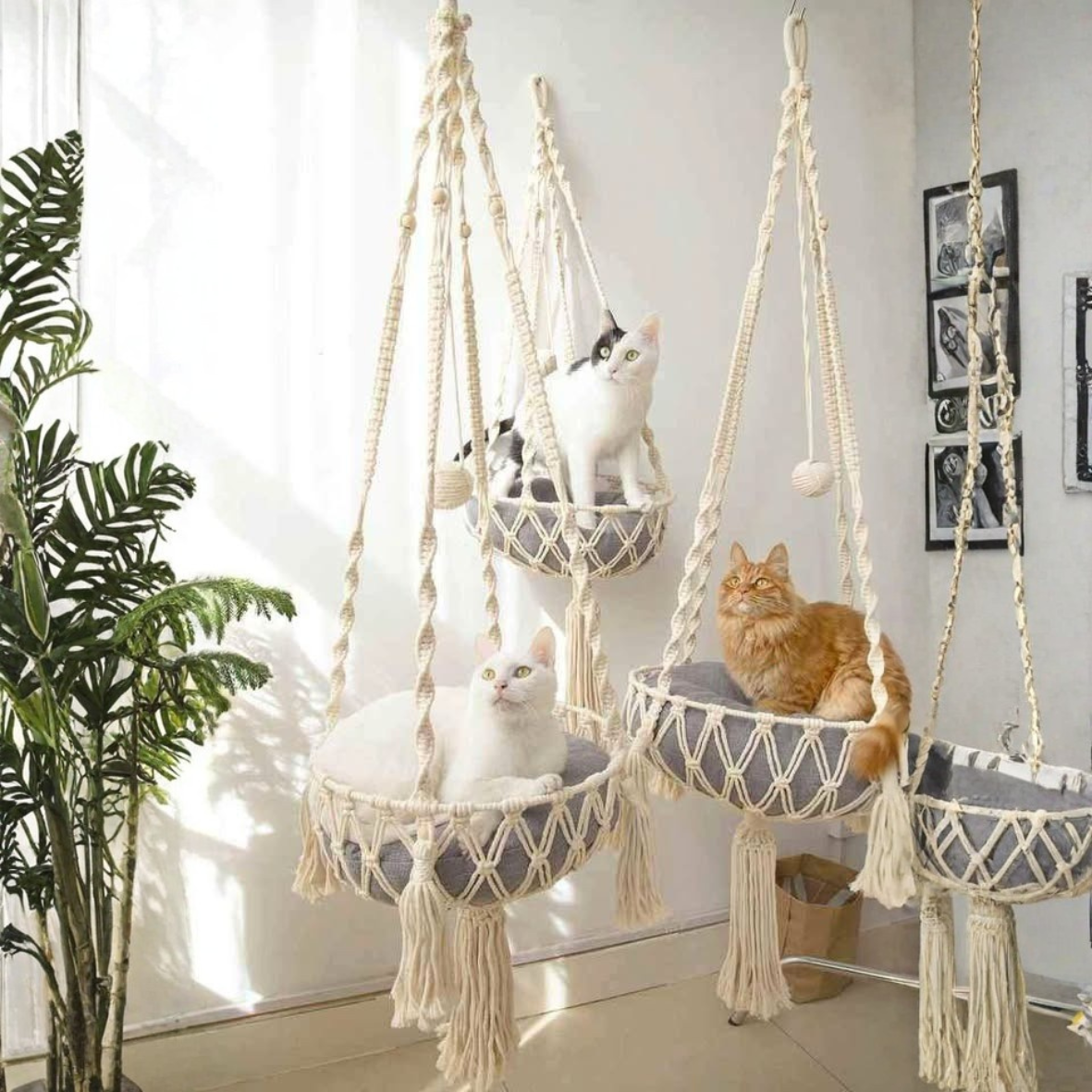 Handmade Macrambe Cat's basket