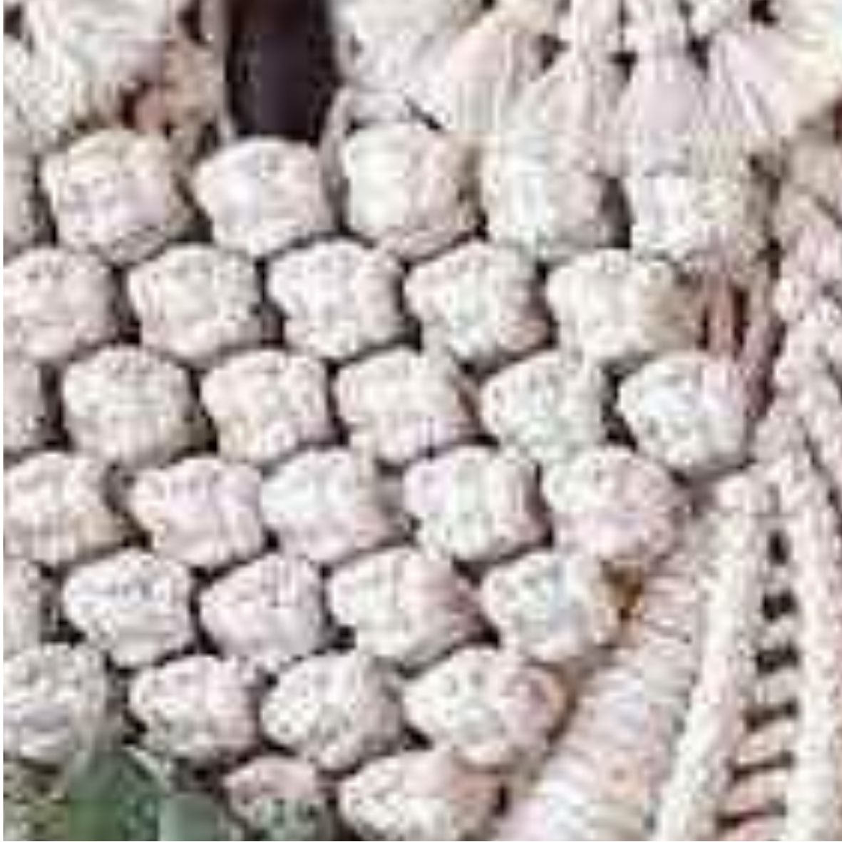 Handmade Macrame Owl Wall Deco