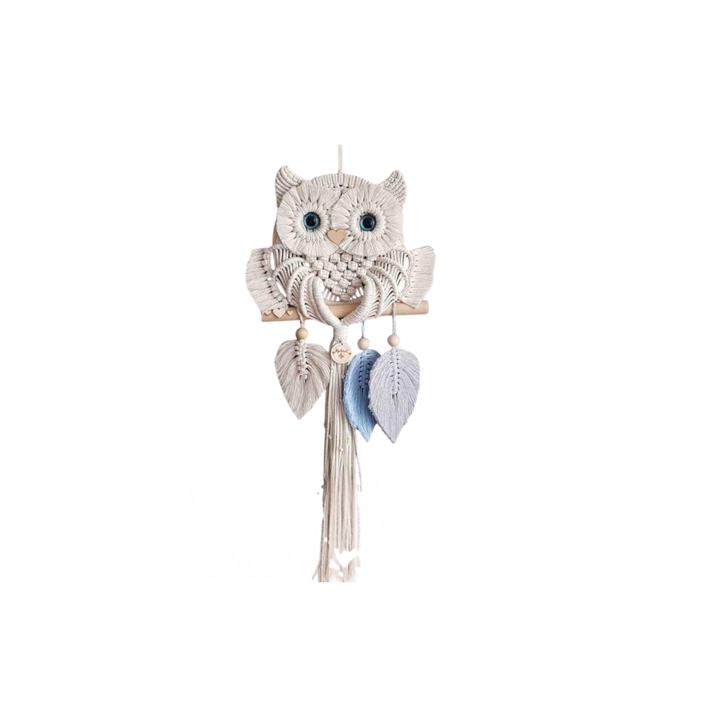 Handmade Macrame Owl Wall Deco