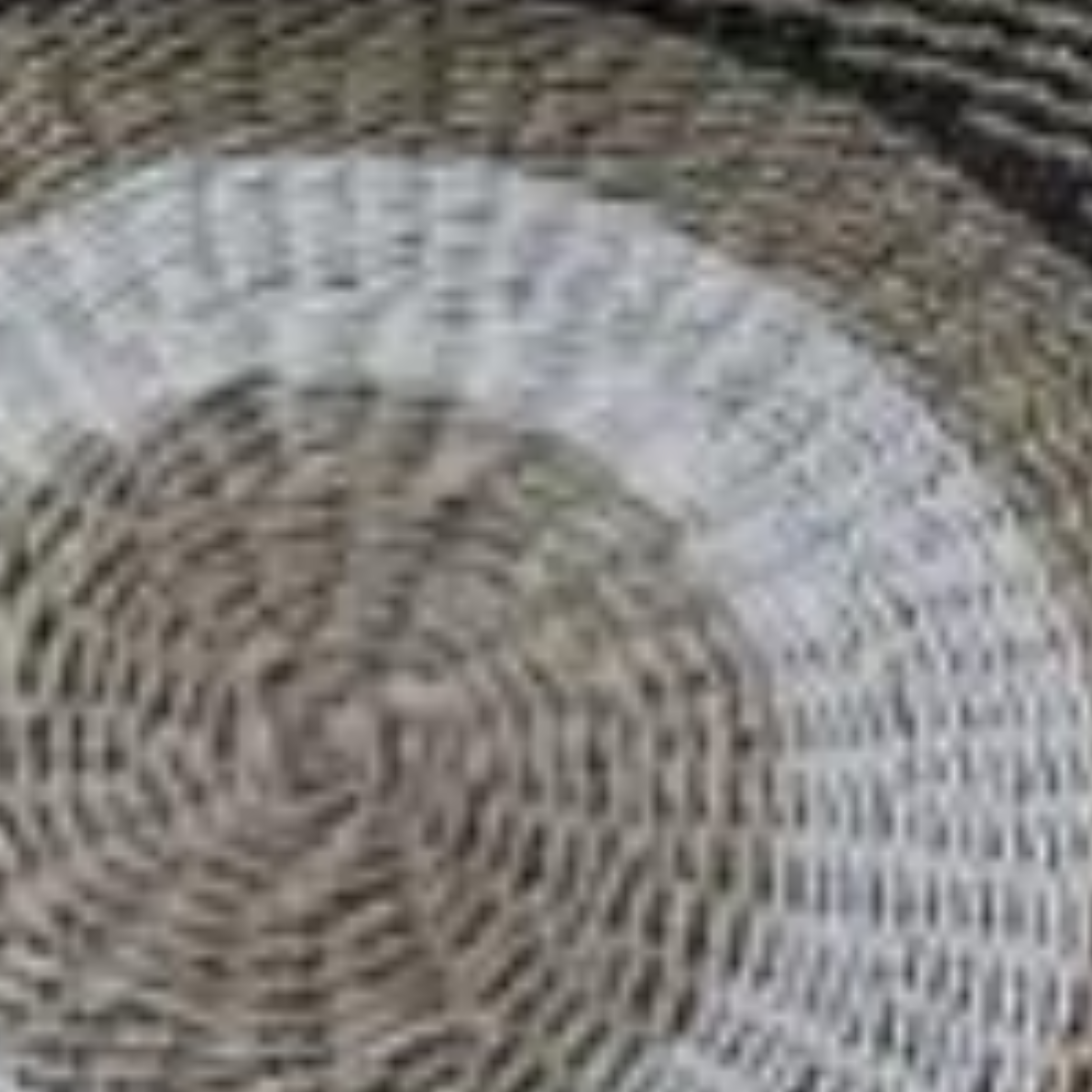 1.5m/ 2.0m Round Carpet and Rug